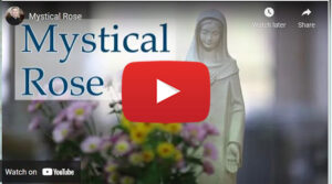 our lady of Rosa mystica | meaning of 3 roses | history of our lady Rosa mystica | mother mary