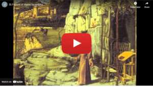 St.Francis of Assisi biography