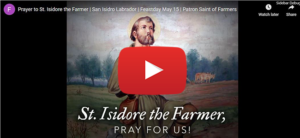 Prayer to St. Isidore