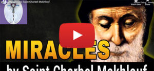 Miracles by Saint Charbel