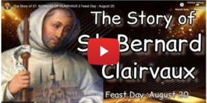 The Story of ST. BERNARD