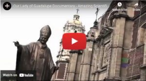 Our Lady of Guadalupe Documentary
